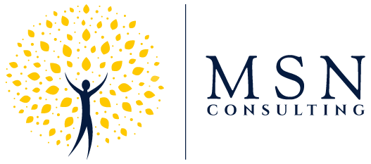 MSN Consulting